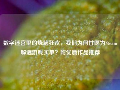 数字迷宫里的烧脑狂欢，我们为何甘愿为Steam解谜游戏买单？附优质作品推荐