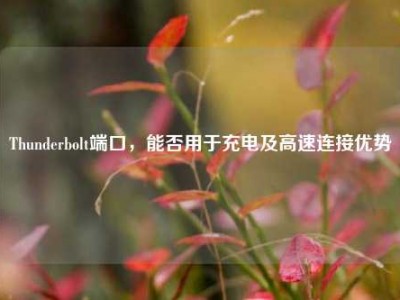 Thunderbolt端口，能否用于充电及高速连接优势