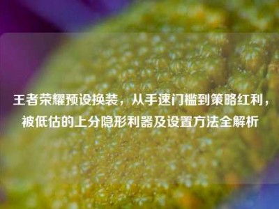 王者荣耀预设换装，从手速门槛到策略红利，被低估的上分隐形利器及设置方法全解析