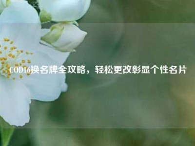 COD16换名牌全攻略，轻松更改彰显个性名片