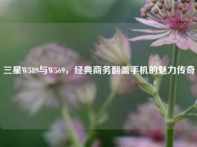 三星W589与W569，经典商务翻盖手机的魅力传奇