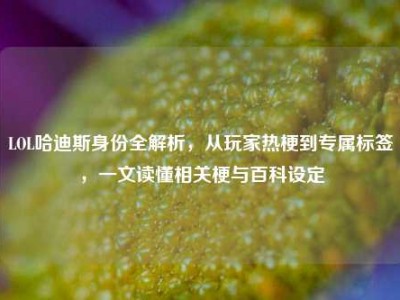 LOL哈迪斯身份全解析，从玩家热梗到专属标签，一文读懂相关梗与百科设定