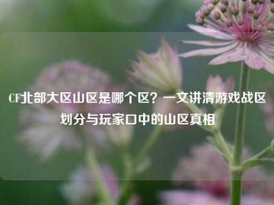 CF北部大区山区是哪个区？一文讲清游戏战区划分与玩家口中的山区真相