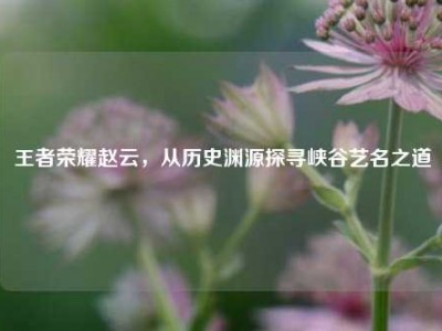 王者荣耀赵云，从历史渊源探寻峡谷艺名之道