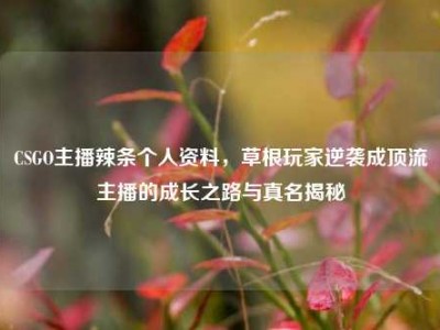 CSGO主播辣条个人资料，草根玩家逆袭成顶流主播的成长之路与真名揭秘