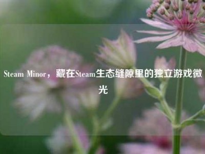 Steam Minor，藏在Steam生态缝隙里的独立游戏微光