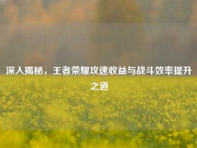 深入揭秘，王者荣耀攻速收益与战斗效率提升之道