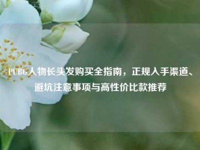 PUBG人物长头发购买全指南，正规入手渠道、避坑注意事项与高性价比款推荐
