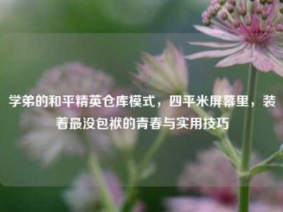 学弟的和平精英仓库模式，四平米屏幕里，装着最没包袱的青春与实用技巧