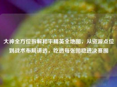 大神全方位拆解和平精英全地图，从资源点位到战术布局讲透，吃透每张图稳进决赛圈