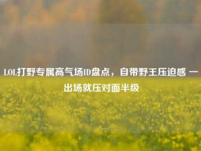LOL打野专属高气场ID盘点，自带野王压迫感 一出场就压对面半级