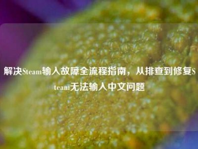 解决Steam输入故障全流程指南，从排查到修复Steam无法输入中文问题