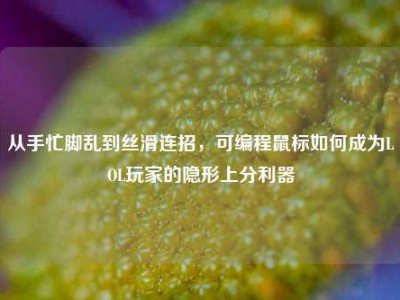 从手忙脚乱到丝滑连招，可编程鼠标如何成为LOL玩家的隐形上分利器