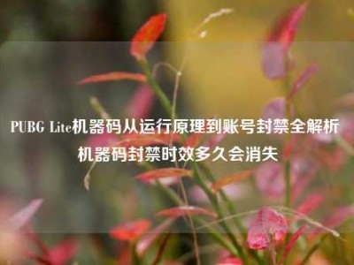 PUBG Lite机器码从运行原理到账号封禁全解析 机器码封禁时效多久会消失
