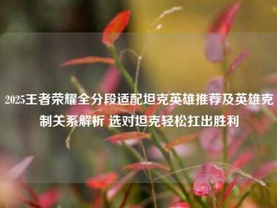 2025王者荣耀全分段适配坦克英雄推荐及英雄克制关系解析 选对坦克轻松扛出胜利