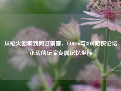 从枪火回响到同好聚首，COD16与3DM游侠论坛承载的玩家专属记忆坐标