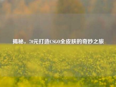 揭秘，70元打造CSGO全皮肤的奇妙之旅