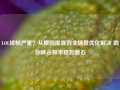 LOL掉帧严重？从根因排查到全场景优化解决 助你峡谷帧率稳如磐石