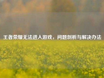 王者荣耀无法进入游戏，问题剖析与解决办法