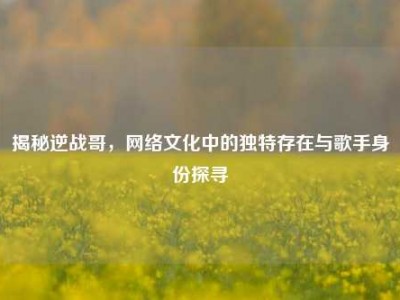 揭秘逆战哥，网络文化中的独特存在与歌手身份探寻