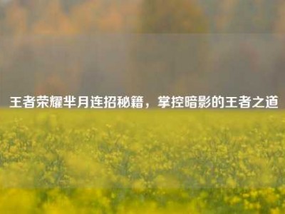 王者荣耀芈月连招秘籍，掌控暗影的王者之道