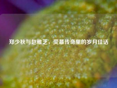 郑少秋与赵雅芝，荧幕传奇里的岁月佳话