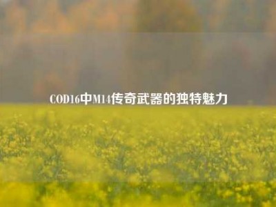 COD16中M14传奇武器的独特魅力