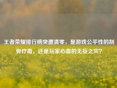 王者荣耀排行榜突遭清零，是游戏公平性的刮骨疗毒，还是玩家心血的无妄之灾？