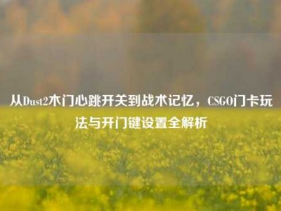 从Dust2木门心跳开关到战术记忆，CSGO门卡玩法与开门键设置全解析