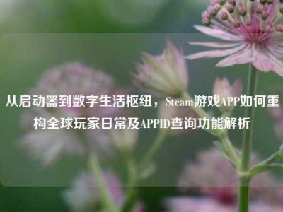 从启动器到数字生活枢纽，Steam游戏APP如何重构全球玩家日常及APPID查询功能解析
