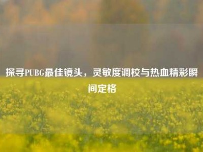 探寻PUBG最佳镜头，灵敏度调校与热血精彩瞬间定格