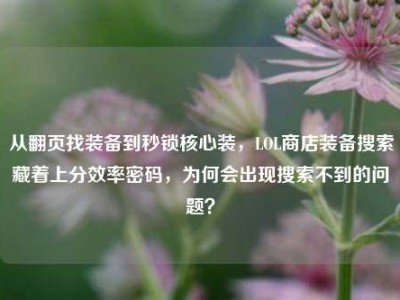 从翻页找装备到秒锁核心装，LOL商店装备搜索藏着上分效率密码，为何会出现搜索不到的问题？