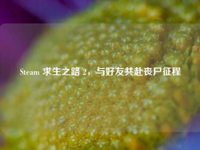 Steam 求生之路 2，与好友共赴丧尸征程