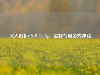 深入剖析CSGO Config，定制专属游戏体验
