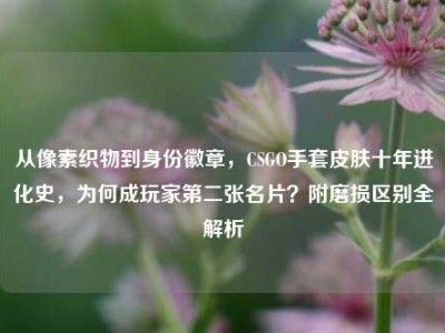 从像素织物到身份徽章，CSGO手套皮肤十年进化史，为何成玩家第二张名片？附磨损区别全解析