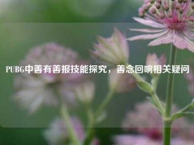PUBG中善有善报技能探究，善念回响相关疑问