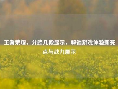王者荣耀，分路几段显示，解锁游戏体验新亮点与战力展示