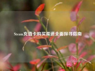 Steam充值卡购买渠道全面探寻指南