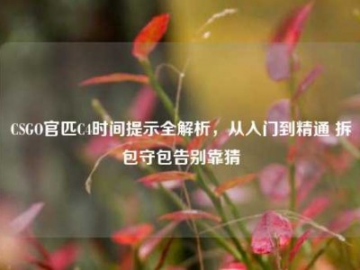 CSGO官匹C4时间提示全解析，从入门到精通 拆包守包告别靠猜