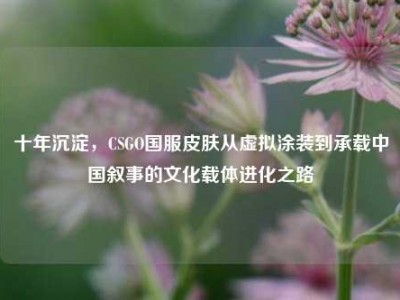 十年沉淀，CSGO国服皮肤从虚拟涂装到承载中国叙事的文化载体进化之路