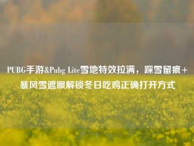 PUBG手游&Pubg Lite雪地特效拉满，踩雪留痕+暴风雪遮眼解锁冬日吃鸡正确打开方式