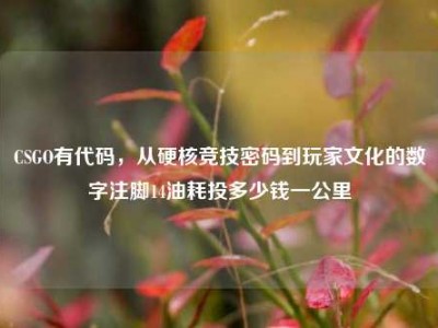CSGO有代码，从硬核竞技密码到玩家文化的数字注脚14油耗投多少钱一公里