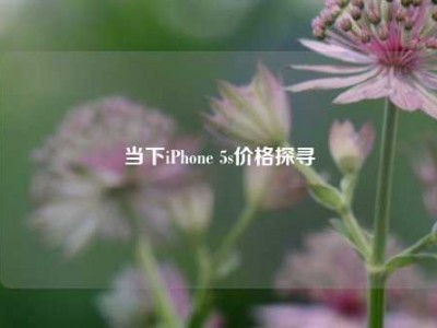 当下iPhone 5s价格探寻