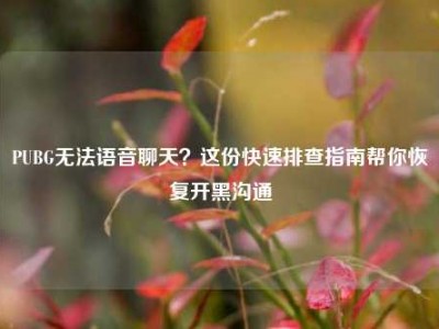 PUBG无法语音聊天？这份快速排查指南帮你恢复开黑沟通
