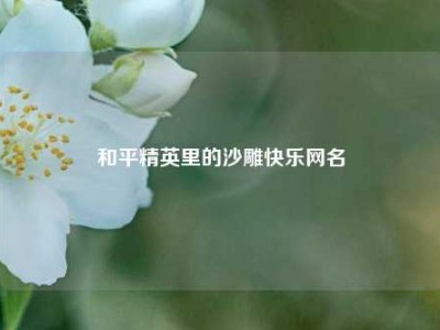 和平精英里的沙雕快乐网名