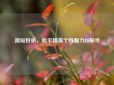 简短好听，和平精英个性魅力ID探寻