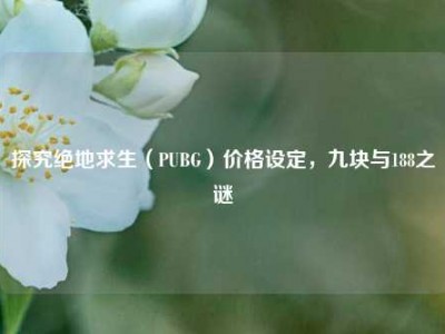 探究绝地求生（PUBG）价格设定，九块与188之谜