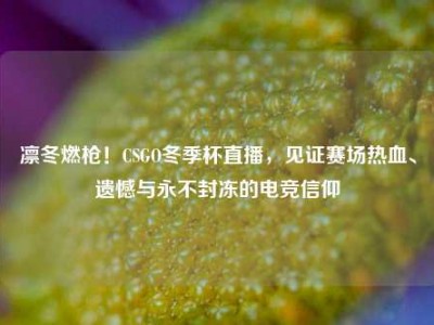 凛冬燃枪！CSGO冬季杯直播，见证赛场热血、遗憾与永不封冻的电竞信仰