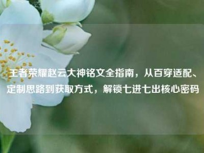 王者荣耀赵云大神铭文全指南，从百穿适配、定制思路到获取方式，解锁七进七出核心密码