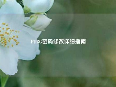 PUBG密码修改详细指南